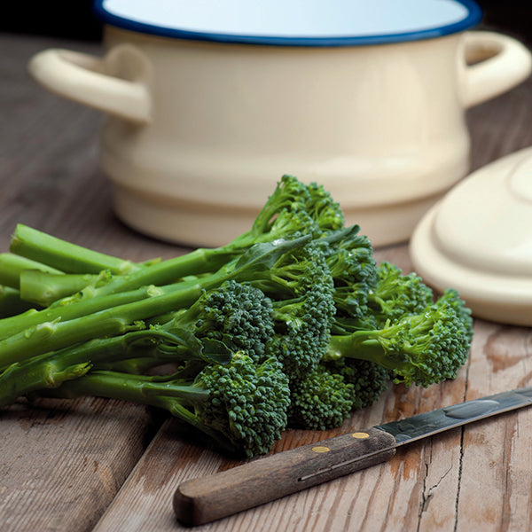 Broccoli_green_sprouting_organic