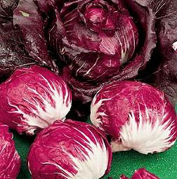 Radicchio Palla Rossa 3