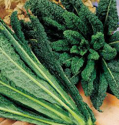 Nero di Toscana