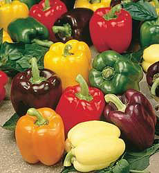 Paprika b Spectrum