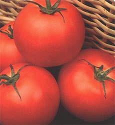 Tomaten T Outdoor Girl