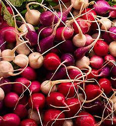 Radijs Salad Mix