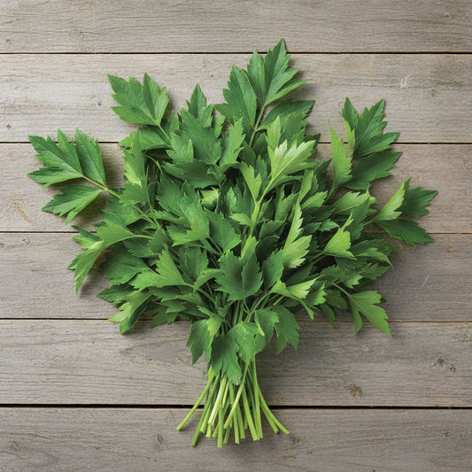 Lavas of Maggikruid Biologisch