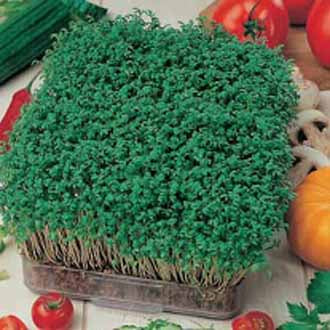 Product showcase image from staged upload