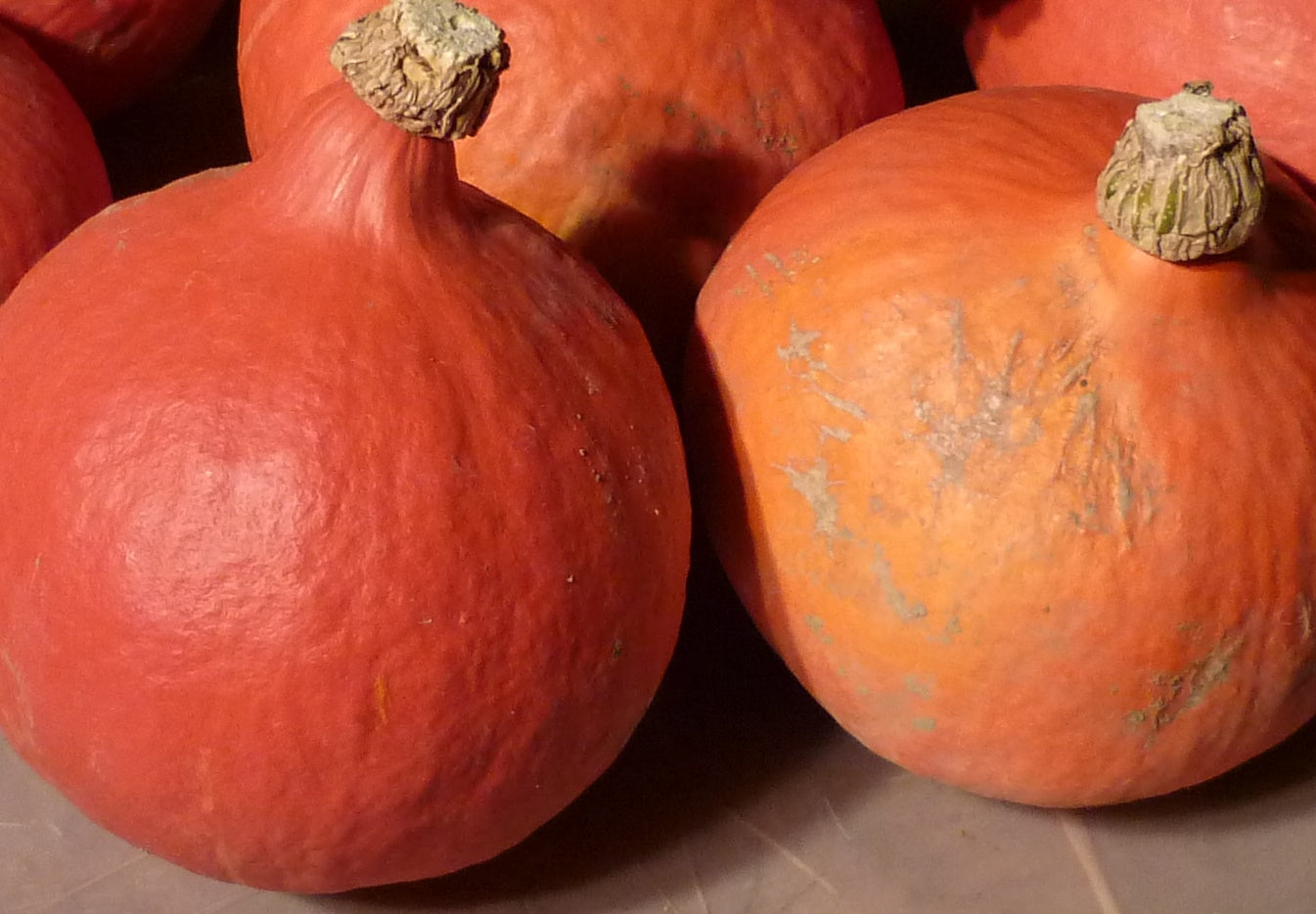 Product showcase image from staged upload